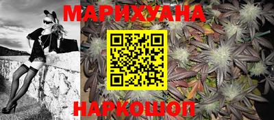 шишки Гатчина