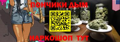 шишки Гатчина