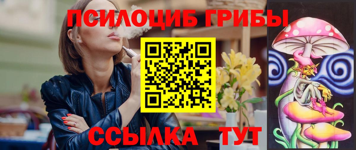 Псилоцибиновые грибы Cubensis Вольск