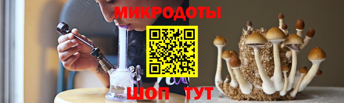 Вольск  Галлюциногенные грибы ЛСД  Вход с VPN 