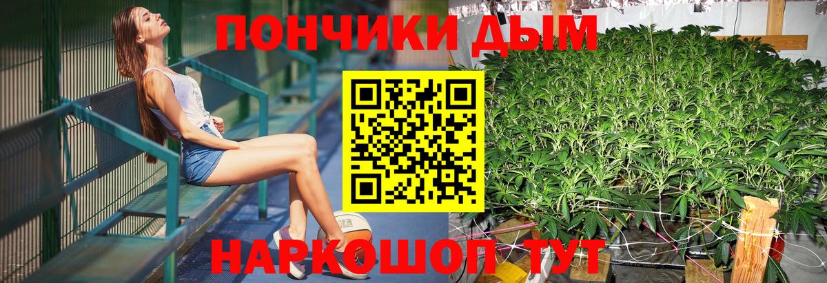 Конопля Ganja  МАРИХУАНА THC 21%  Вольск  Бошки Шишки VHQ  Вход с VPN  Шишки марихуана SATIVA & INDICA 